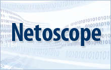 Netoscope Will Provide Monitoring of the Moscow Schools Web Sites 